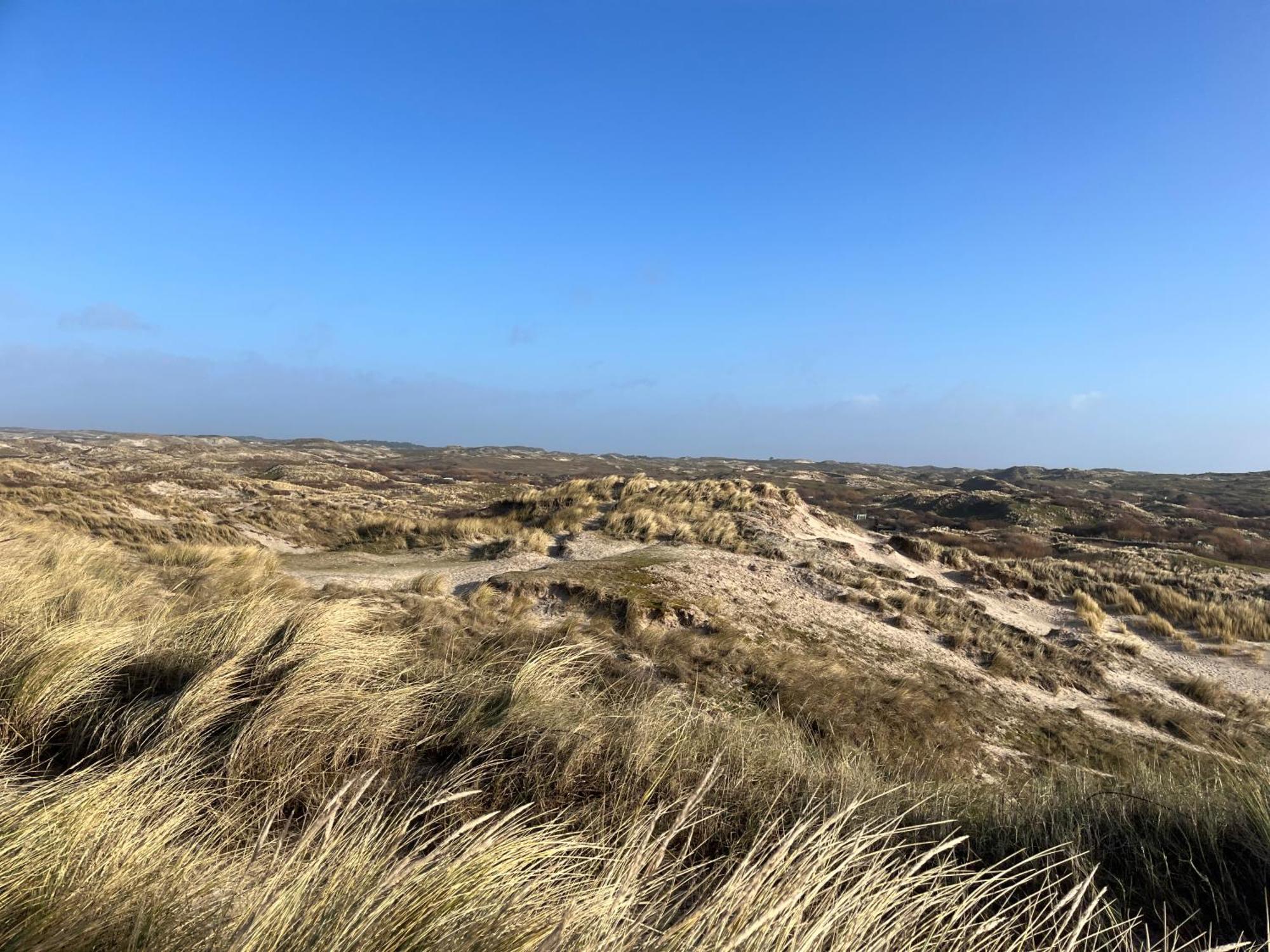 Vakantiehuis Aan Zee Egmond aan Zee Exterior foto